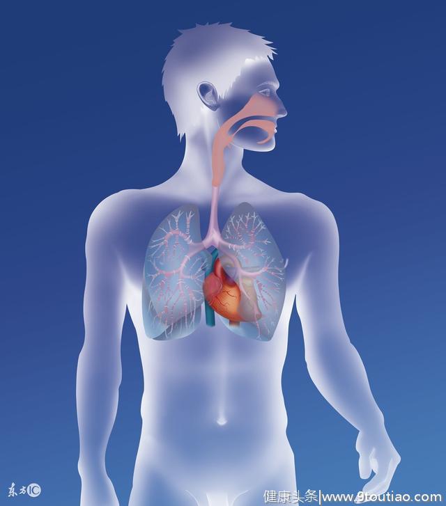 五大原因导致呼吸系统感染