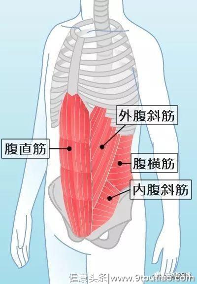 女生总是练核心，小肚子还是减不掉？那是你没找到原因！