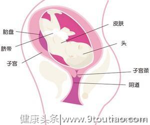 怀孕第三十六周末，你的宝宝就生长成一个足月的宝宝了