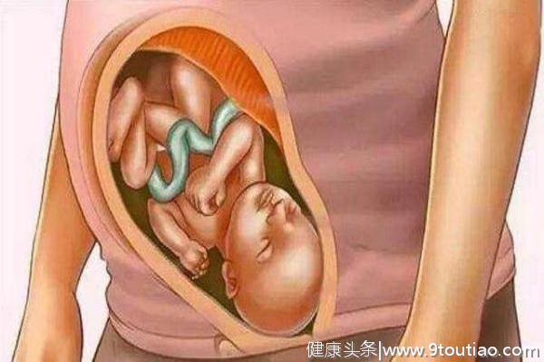 怀胎十月，孕妇的子宫会经历怎样的变化？这几张图说明了一切！