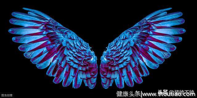 心理测试：你看中哪对翅膀，测试你心理存在的是天使还是魔鬼