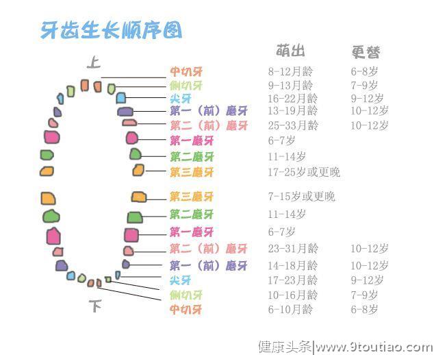 宝宝牙齿发育有哪些症状？小孩牙齿发育周期及护牙方法