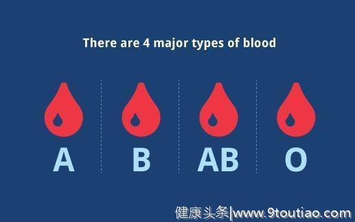 你的血型决定了你的性格｜心理学解析血型性格论