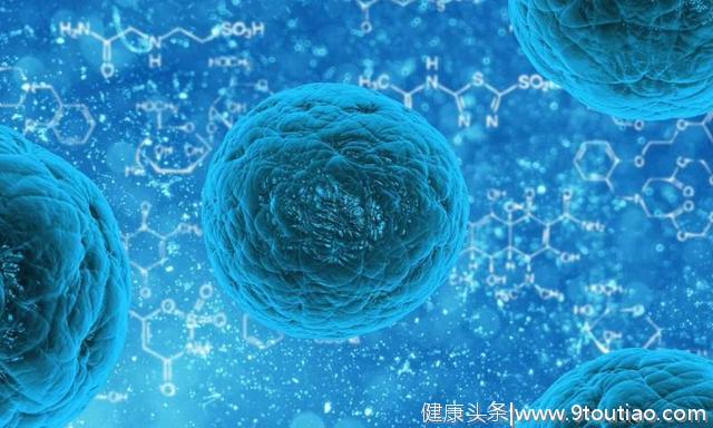 研究人员说，诱导多能干细胞可以作为癌症疫苗