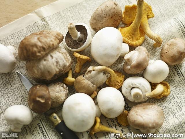 多吃菇类能防癌？7种常见食用菇，抗癌功效一次看懂