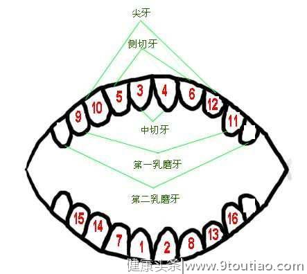 儿牙 | 影响孩子牙齿生长的4个内幕