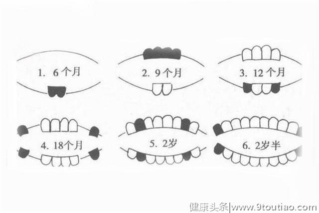 格格：宝宝长牙顺序和时间知道吗？一口整齐的牙齿，要注意什么？