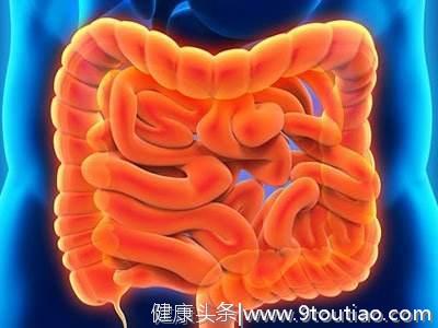 夏天养好肠胃，多吃厨房中这3种食物，健脾养胃、食疗效果好