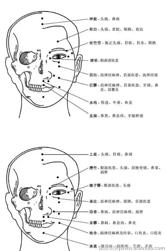 人体穴位图及作用功效（收藏版）