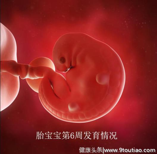 孕早期孕妈第一次产检，如果这些指标都正常，说明胎儿很健康