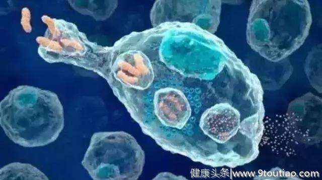 NK细胞成为消灭癌症的利器