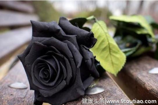 心理测试：选一朵你爱的黑色的花，测你命中躲不过什么劫难