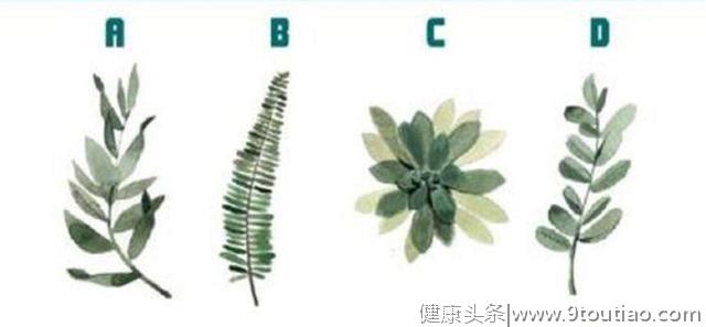 超准心理测试：四种植物选出一个，测出你的气场和命运
