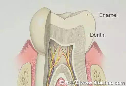 为什么牙齿表面一层层脱落？是缺钙吗？#葉子口腔科普#