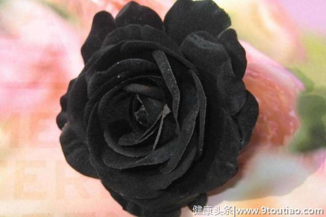 心理测试：哪一朵黑玫瑰最娇艳？测试你身上有什么气场！