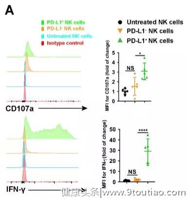 表达PD-L1的NK细胞竟是抗癌杀手？希望之城科学家发现新机制