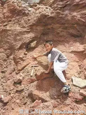 9岁男孩发现11枚6000万年前恐龙蛋：信任孩子，是家庭教育的前提