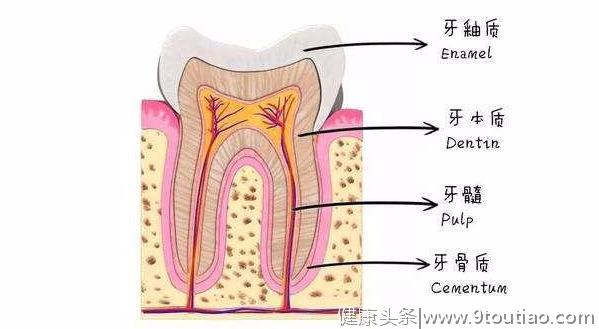 为什么天天刷牙还是黄？医生：教你牙齿美白的各种姿势