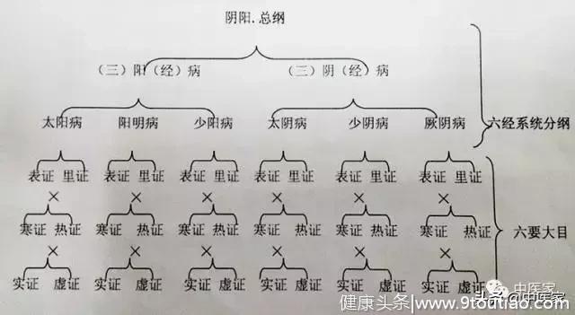 刘英锋-从姚荷生病证分类卓见，看伤寒学教材逻辑构建