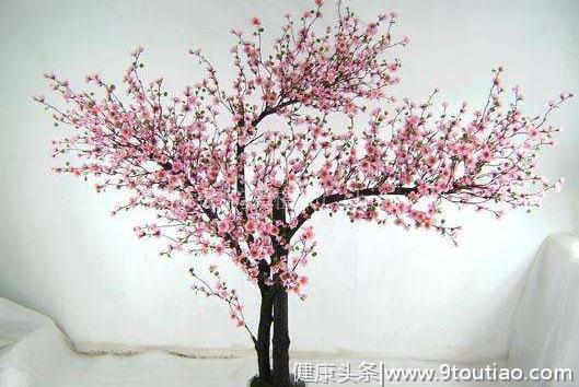心理测试：选一棵你最喜欢的桃花树，测你爱情中的不完美之处？