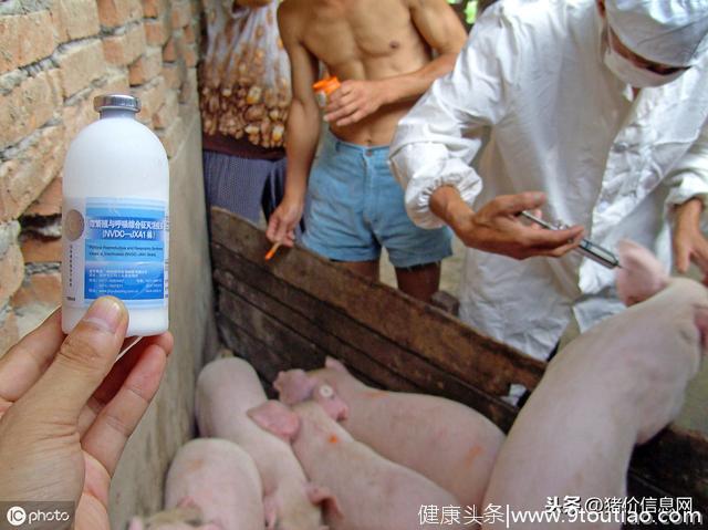 如何减少猪繁殖障碍和呼吸系统综合征危害？