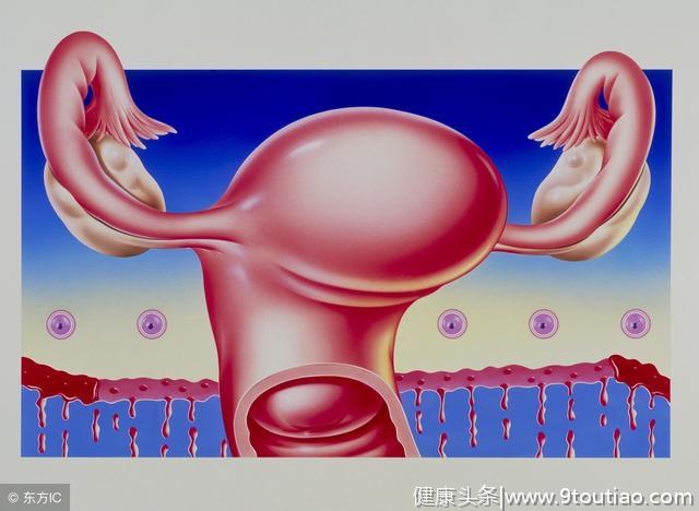 子宫内膜厚度多少算正常？为什么子宫内膜会变薄