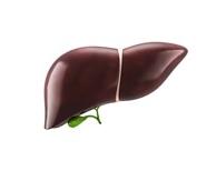 研究表明，丙型肝炎抗病毒药物可使肝脏相关死亡人数减少近一半