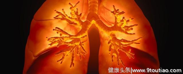 肺病治疗突破：具有完整血管网的生物工程肺即将走进现实！
