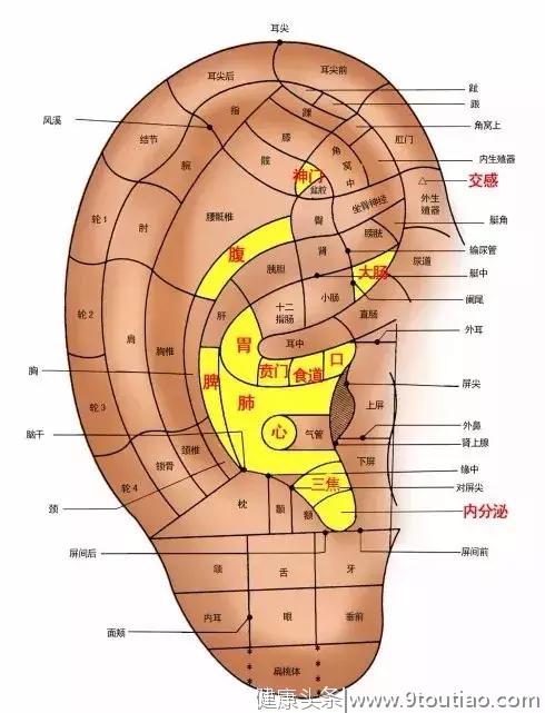 耳朵有91个穴位，每天揉几分钟，等于给全身做“养生操”