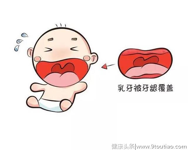 宝宝的牙齿是怎么发育的
