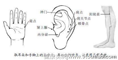 人体有2个特效穴，主治一切筋病！每天揉一揉，治好肩周炎