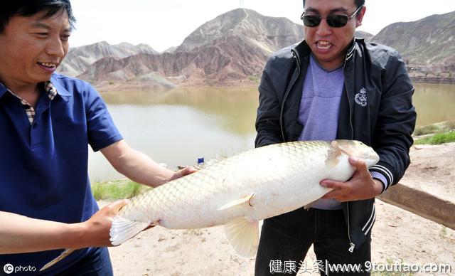 草鱼怎么做好吃？