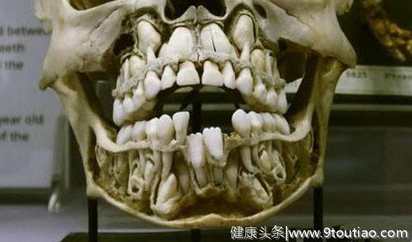 原来牙齿是这样长出来的！