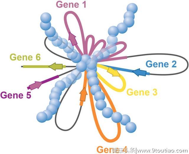 癌症基因组学研究最全综述回顾