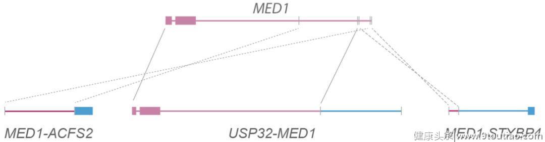 癌症基因组学研究最全综述回顾