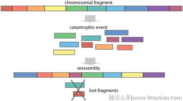 癌症基因组学研究最全综述回顾