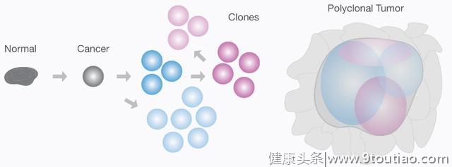 癌症基因组学研究最全综述回顾