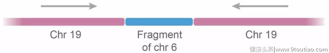 癌症基因组学研究最全综述回顾