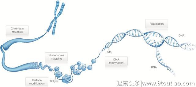 癌症基因组学研究最全综述回顾