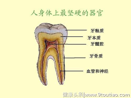 牙齿什么颜色最健康？为了有一张好牙口，这三点最好要牢记做到
