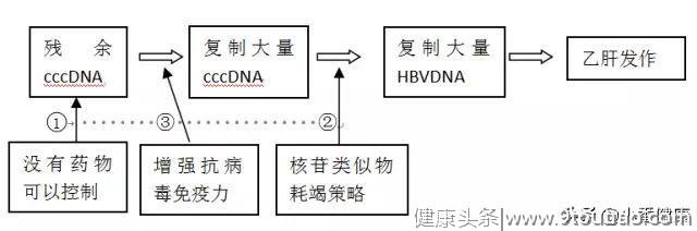 乙肝先不急用药，了解两种抗病毒方向，读懂后可以减少乙肝反跳