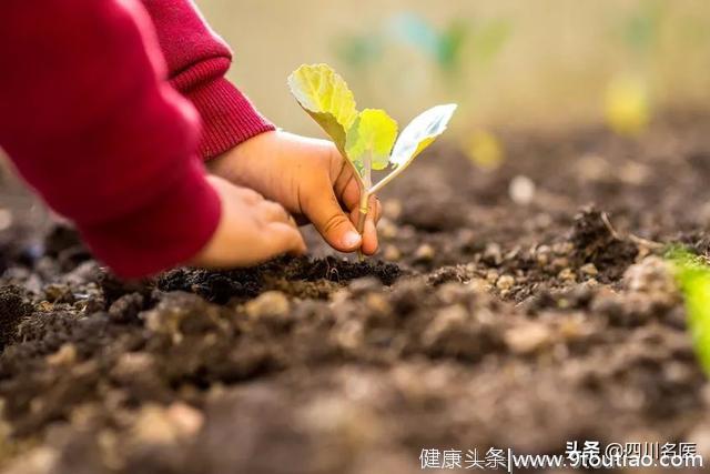 这种脱发，90%都能治好！华西冉玉平教授：秃不秃，决定权在你手里