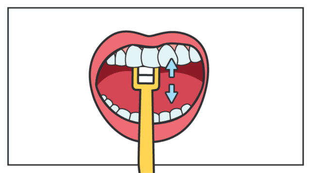 刷牙+不吃糖=不蛀牙？儿童口腔健康五大误区 你中招了吗？