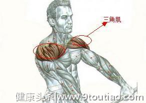 身体常见肌肉名称及其作用和锻炼方法！