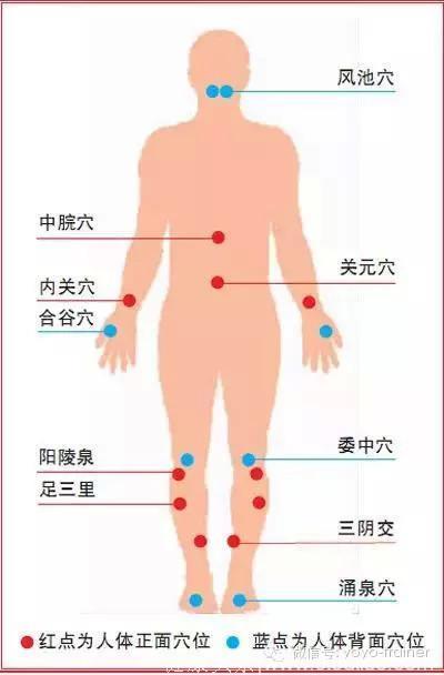 人体10大穴位能治病--按揉关元穴缓解脱发！