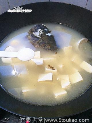 冬季暖胃食谱——鱼头豆腐浓汤