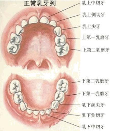 儿童蛀牙发病率达70%，乳牙“反正会掉”，蛀了不用补？