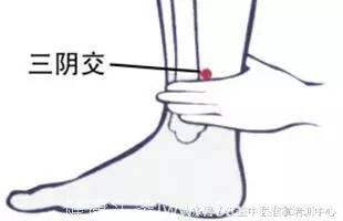 针灸基本功之详解八要穴