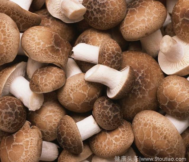 春季吃5款菌菇食谱 健康减肥 轻松瘦