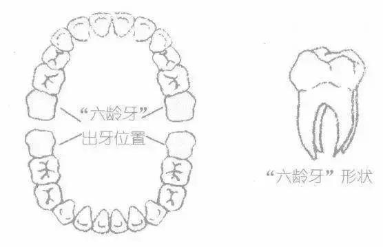 写给家长的儿童牙齿保健常识